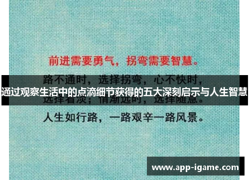 通过观察生活中的点滴细节获得的五大深刻启示与人生智慧